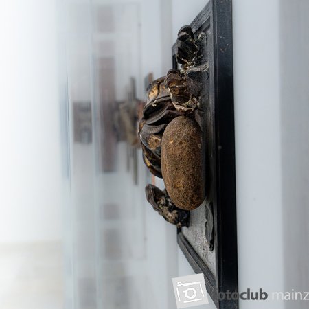 2025 Hombroich &amp; Düsseldorf - Diem Demirci: &quot;Hombroich 1&quot;